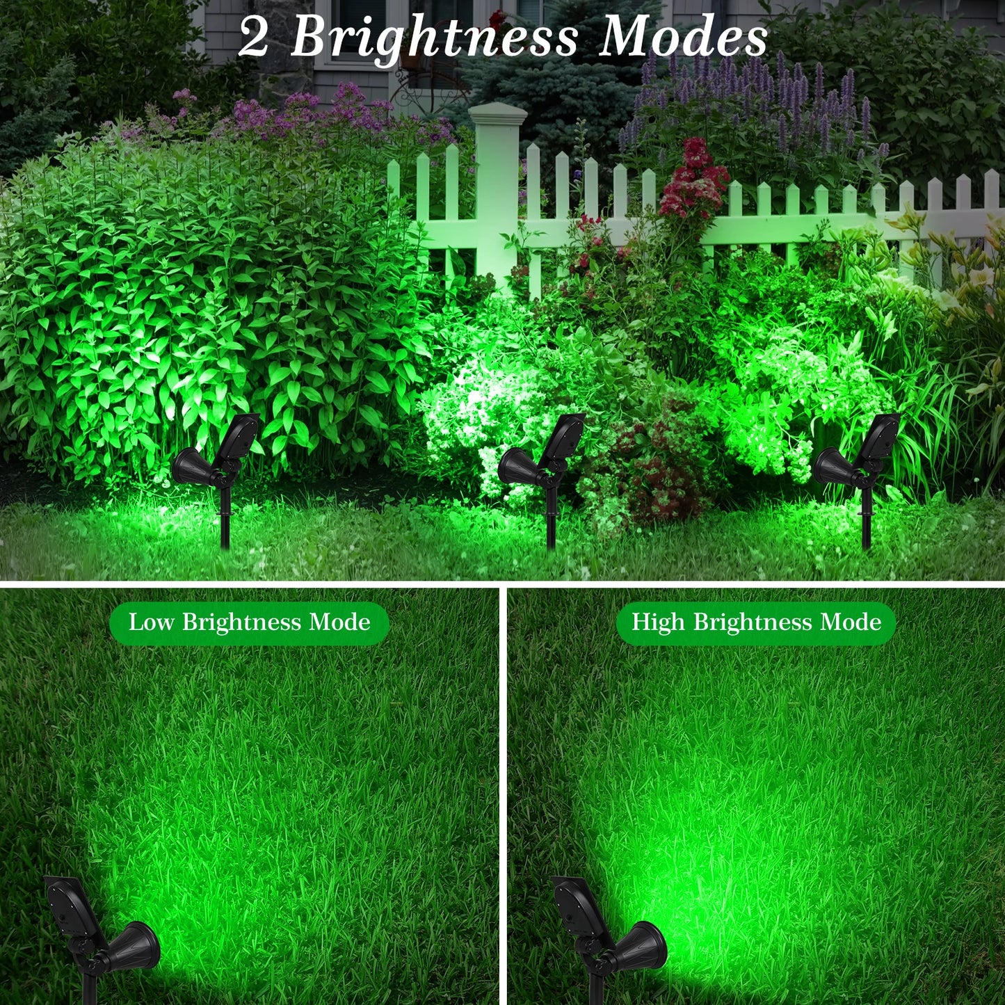 Lampes solaires | Wallen™