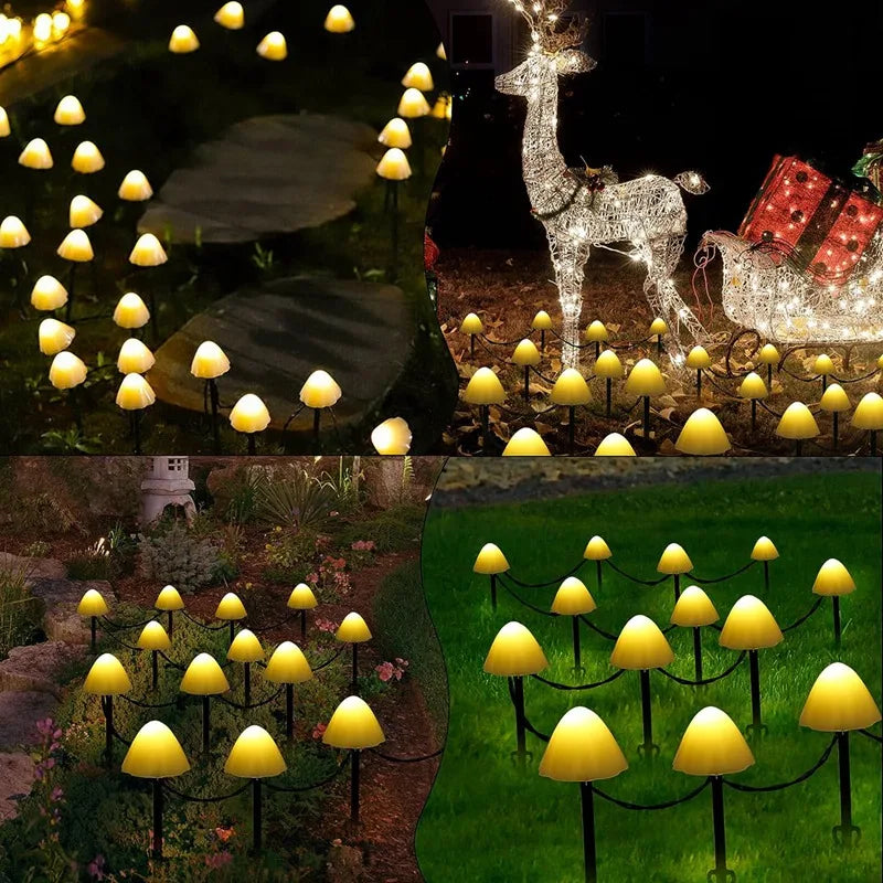 Guirlande solaire | Pathway™