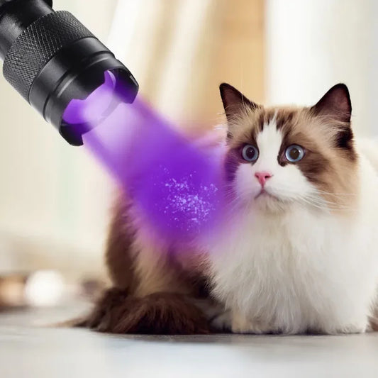 Lampe torche puissante  | C-Force™